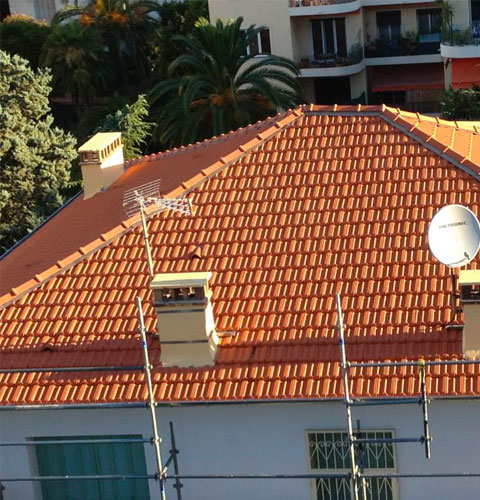 Travaux de nettoyage et démoussage de toiture 94